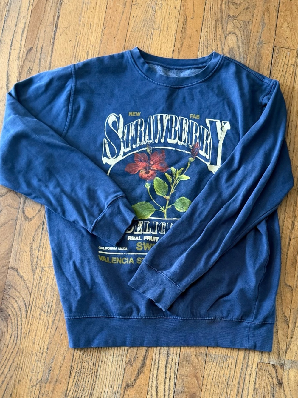 Urban Outfitters Strawberry Pullover Sweatshirt NWOT